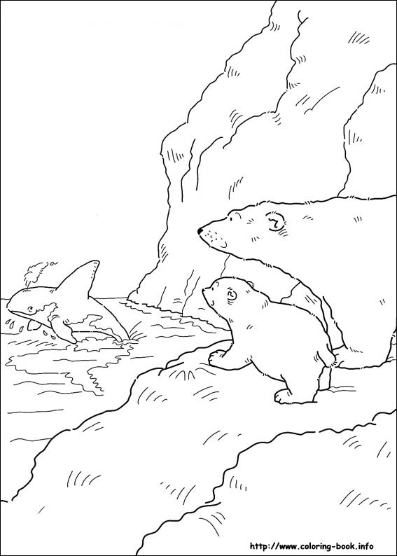 Little Polar Bear coloring picture